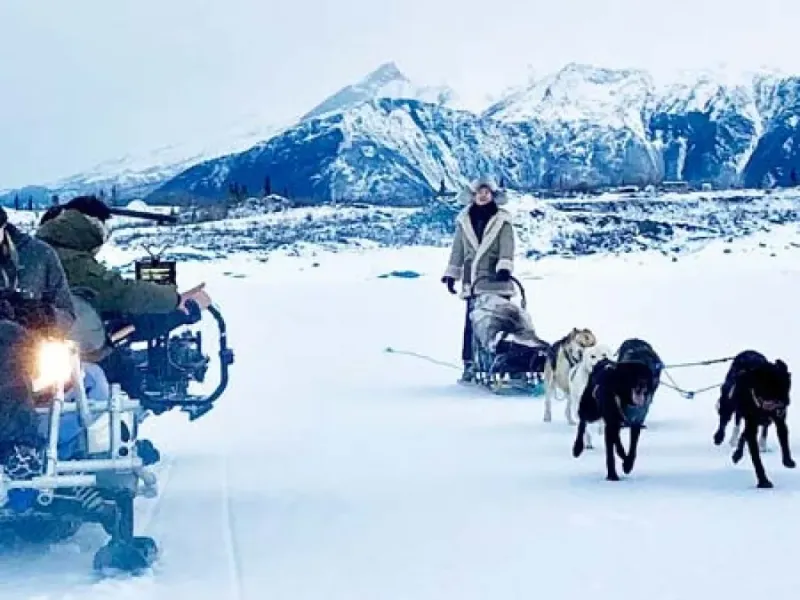 Winter Dog Sled and Snowmobile Adventure Tour