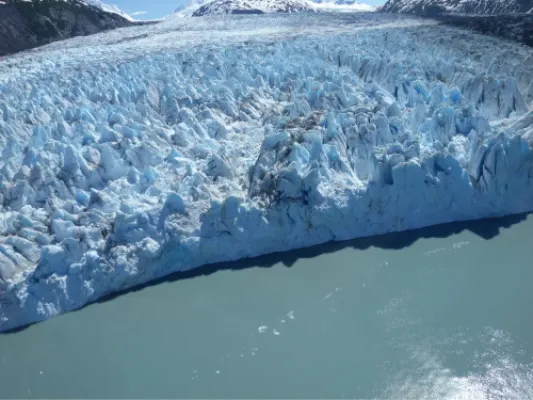 Glacier & Wildlife Discovery Tour