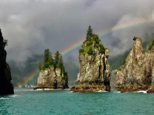 6.5 Hour Kenai Fjords National Park Wildlife & Glacier Tour