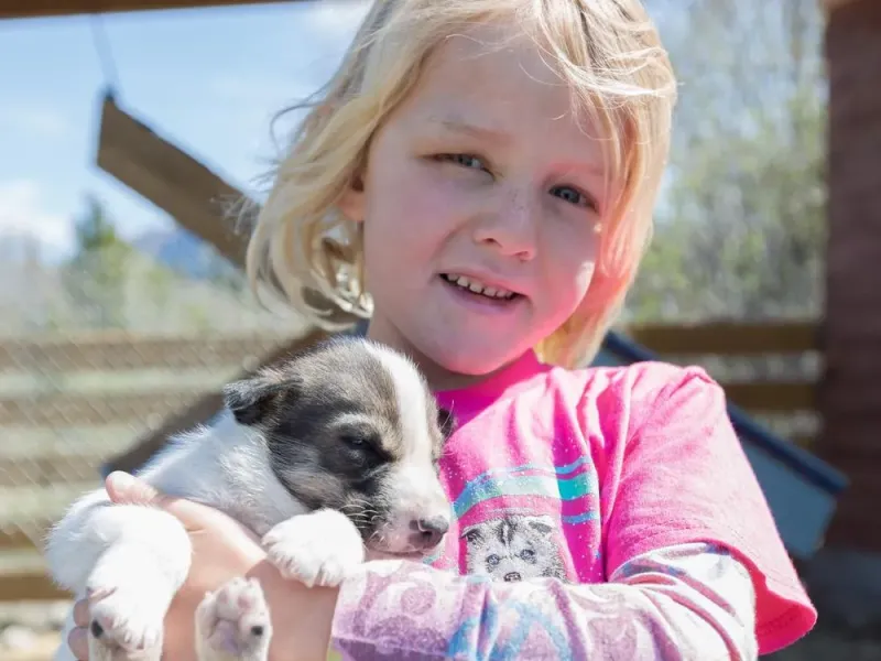 Yukon Sled Dog & Panning For Gold Adventure