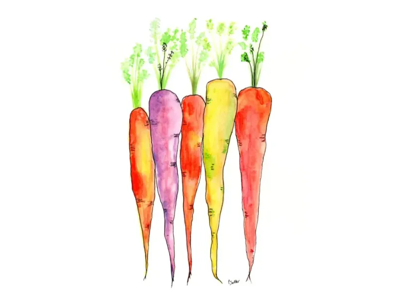 Alaska Art Prints - Watercolor Garden Veggies 8 x 10