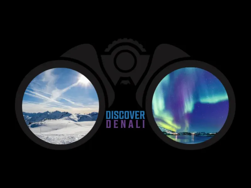 Discover Denali Winter Sticker