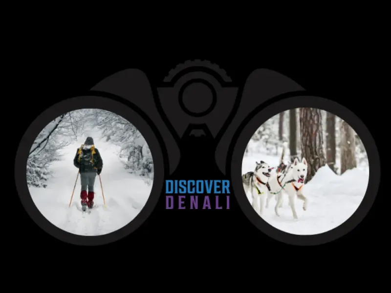 Discover Denali Spring Sticker