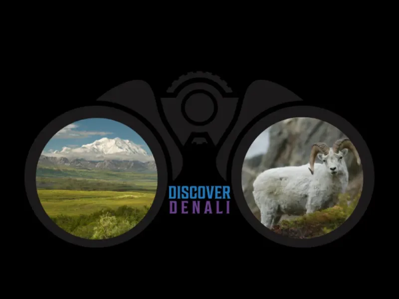 Discover Denali Summer Sticker