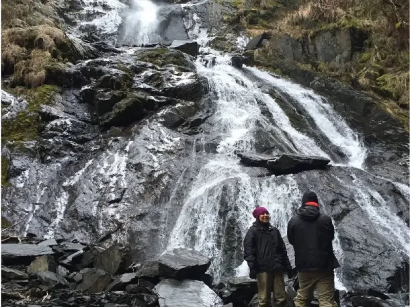Bridal Veil Falls Extended Resurrection Bay Kayaking Adventure