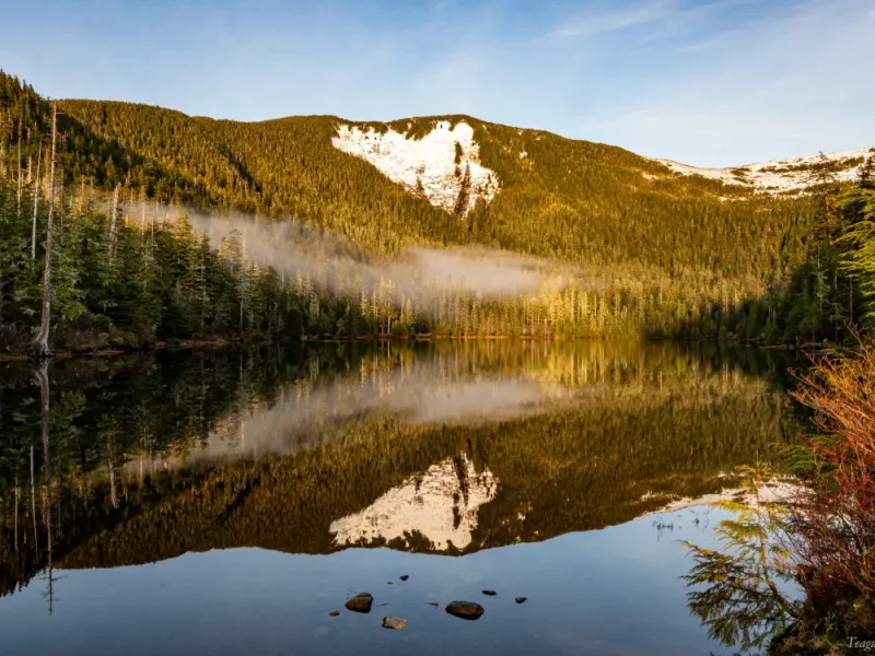 Mountain Lake Trek To Avalanche Chute