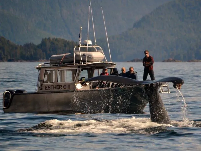 Marine Wildlife Tour