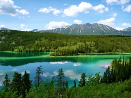 Custom 7 Hour Emerald Lake Tour