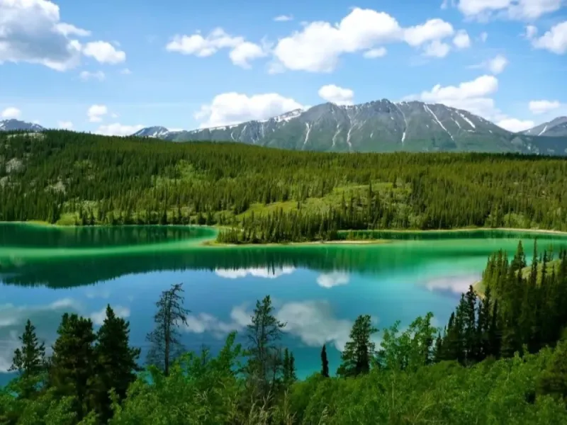 Custom 7 Hour Emerald Lake Tour