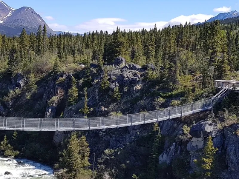 Brave the Bridge and Emerald Lake Tour