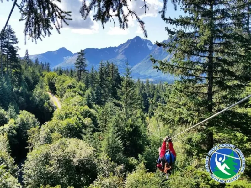 Stoney Creek Canopy Adventure Tour
