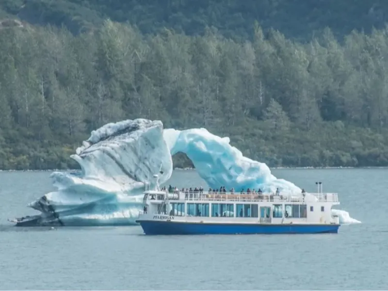 Glaciers & Wildlife: Super-Scenic Day Tour