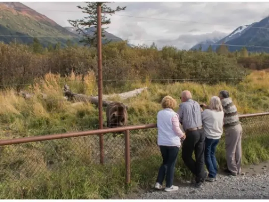 Alaska Wildlife Day Tour