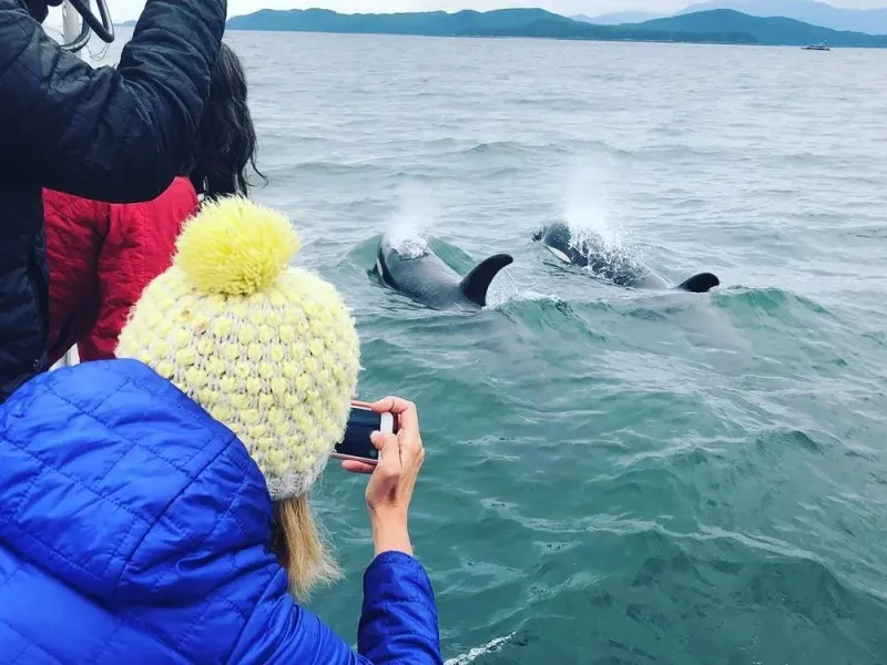 Private Whale Watching Charter With Island Stop (Up To 11 Guests)