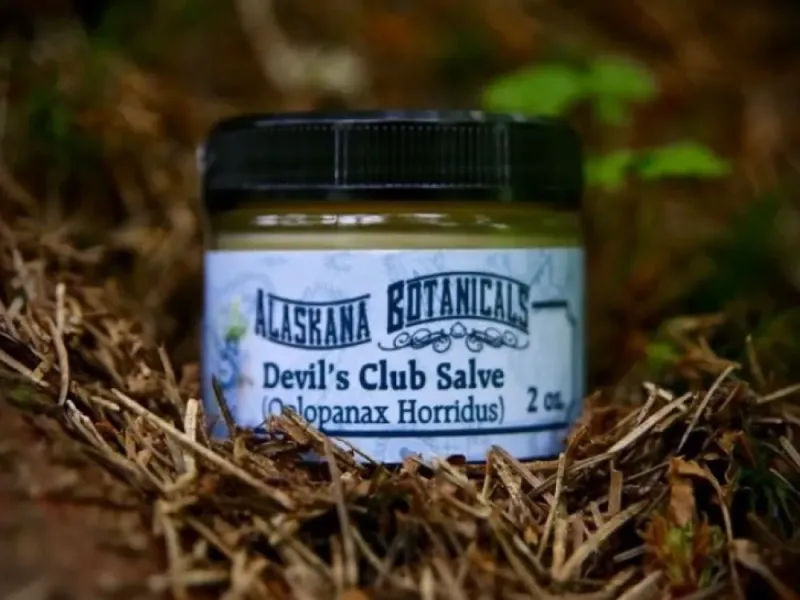 Devil’s Club Salve