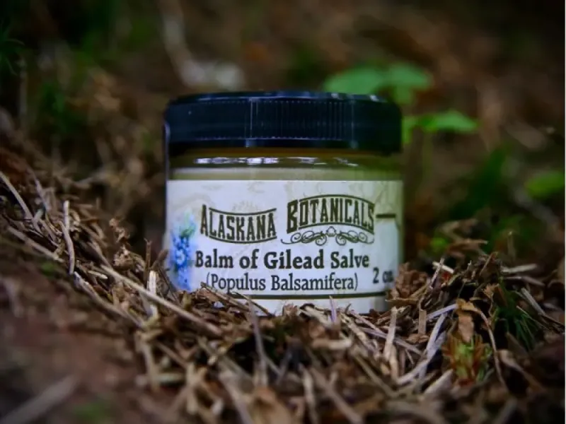 Balm of Gilead Salve
