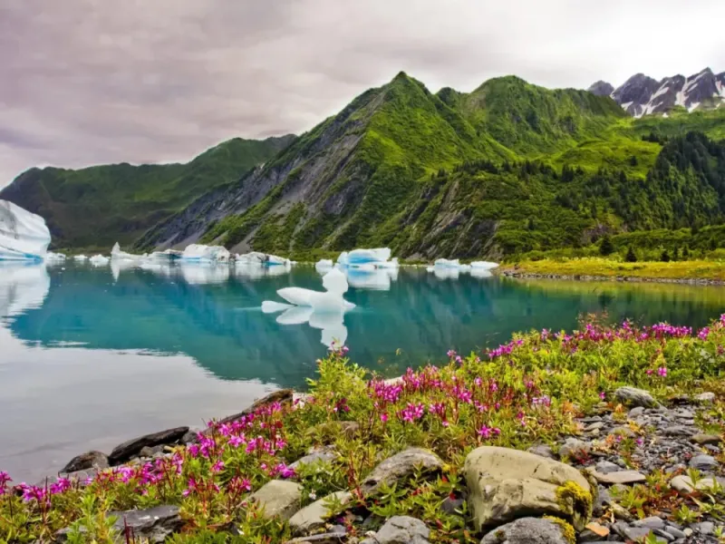 45 min Extended Bear Glacier Scenic Flight