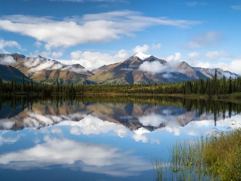Private Full Day Denali Photo Excursion