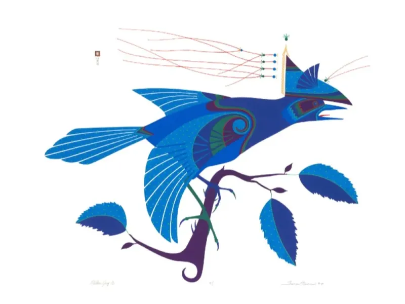 Thomas Stream Stellar Jay Giclée
