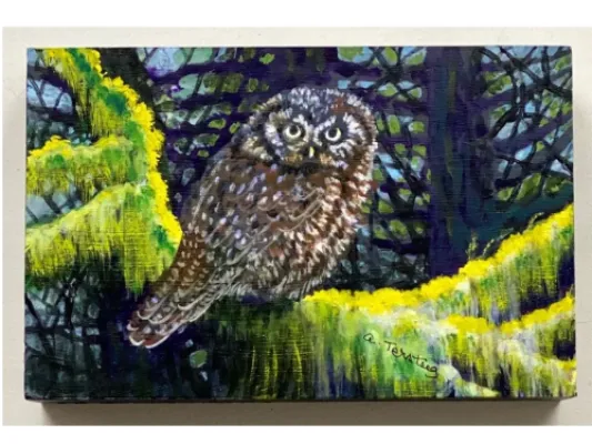 Alice Tersteeg's “Owl” Painting on Wood