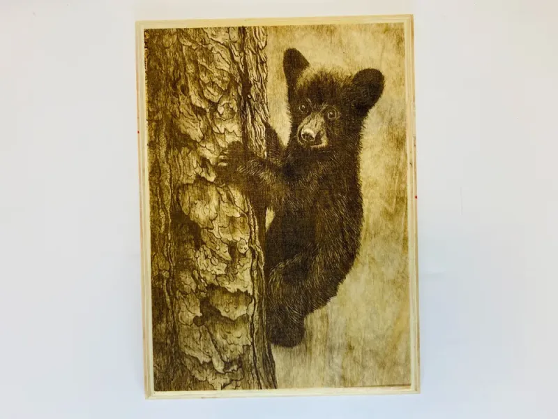 Baby Black Bear Tree Climbing Wooden Print