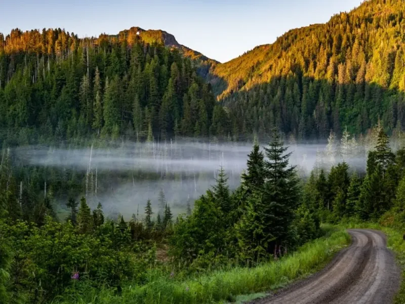 Ketchikan Backcountry Driving SUV Tour Through The Tongass