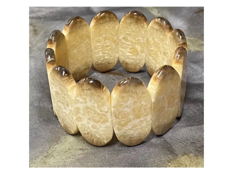 Johnny Ellis's Fossil Ivory Bracelet #5
