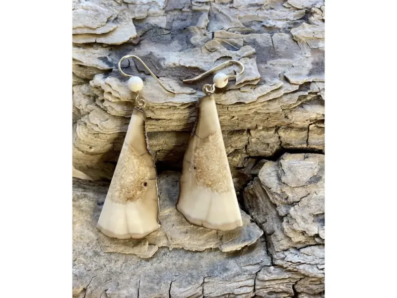 Johnny Ellis's Fossil Ivory Large Earrings #2