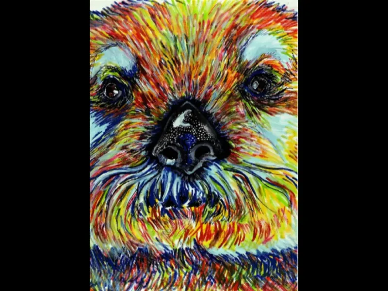 Giclée Art Print “ Otter Face" by Katie Sevigny