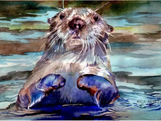  Water Color Art Print “Curious Otter” by Maida Kelly
