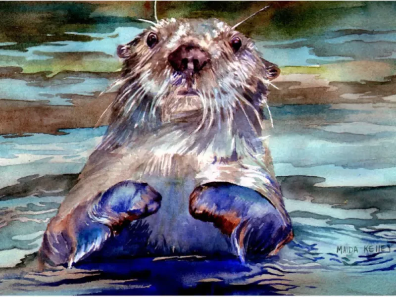  Water Color Art Print “Curious Otter” by Maida Kelly