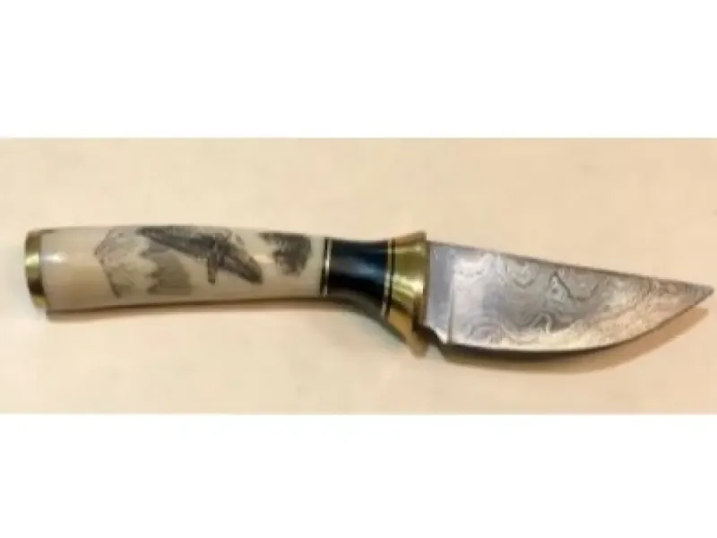 Scrimshaw Knife Damascus Blade