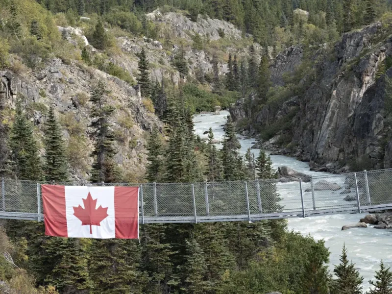 White Pass Summit and Yukon Suspension Bridge Tour - From Skagway