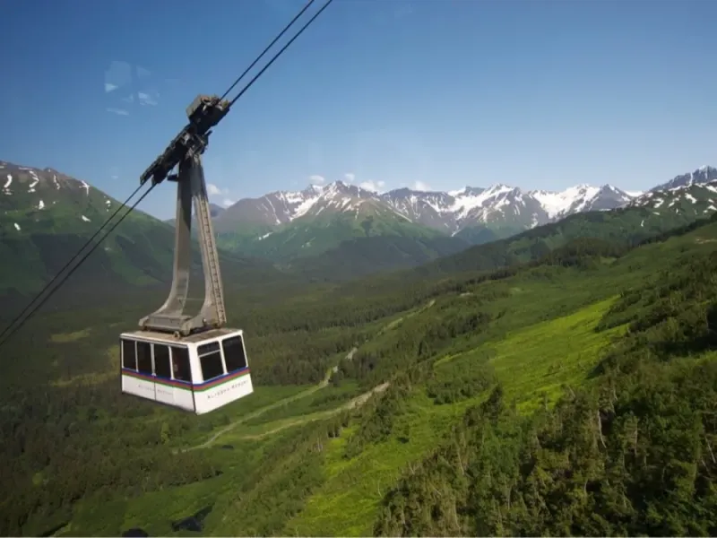 Cruise Ship Tour and Transfer: Whittier to Anchorage