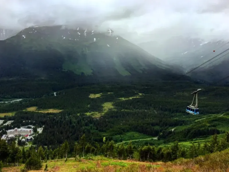Cruise Ship Tour and Transfer: Anchorage to Whittier