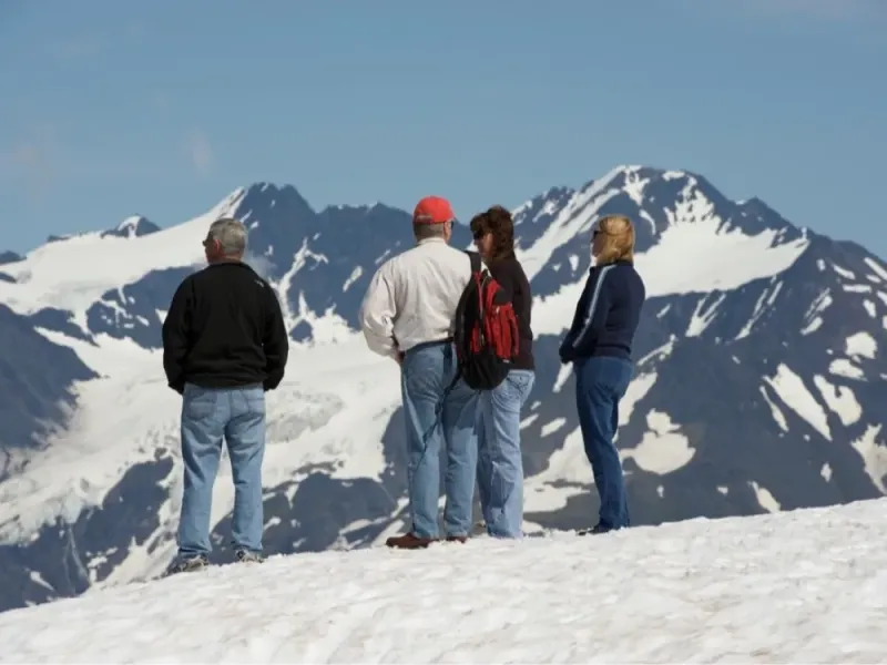 Cruise Ship Tour and Transfer: Anchorage to Seward