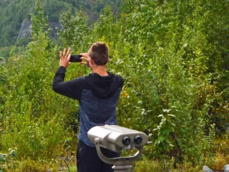 Cruise Ship Tour and Transfer: Seward to Anchorage