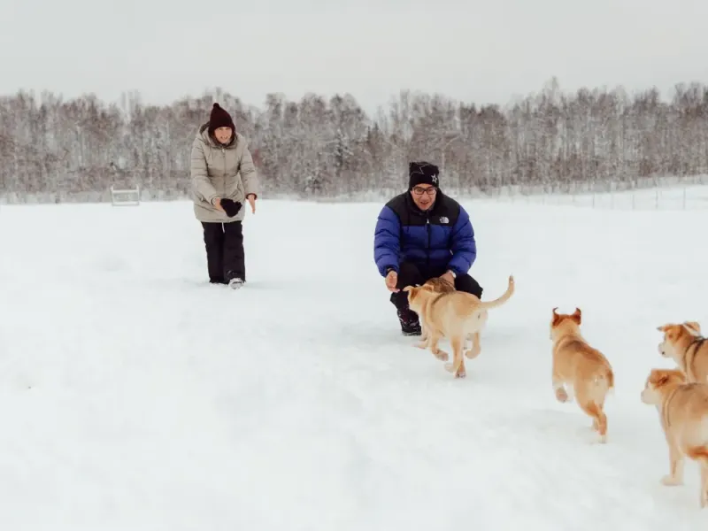 SOLD OUT! 2023 Iditarod Aurora with Race Checkpoint