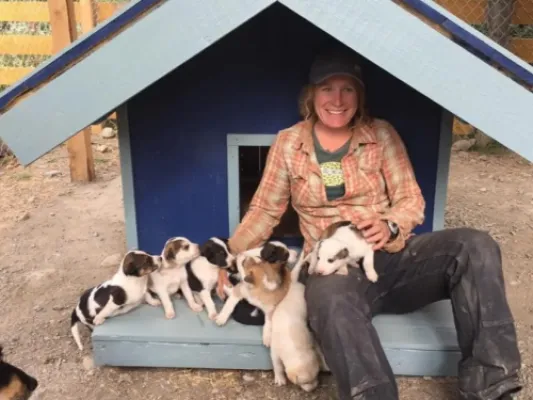 To The Yukon, Pet the Puppies & White Pass Summit Tour