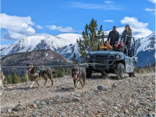 Yukon Sled Dogs & White Pass Summit Experience