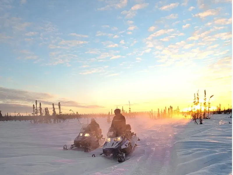  Dog Sledding, Snowmobile and Northern Lights Combo Tour