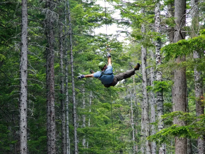 Grizzly Falls Ziplining Expedition