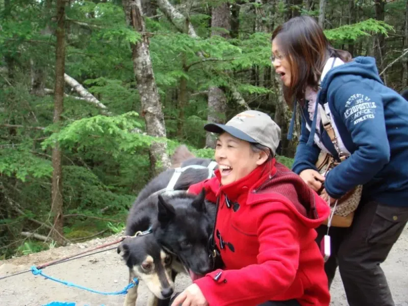 Juneau Sled Dog Discovery & Musher's Camp