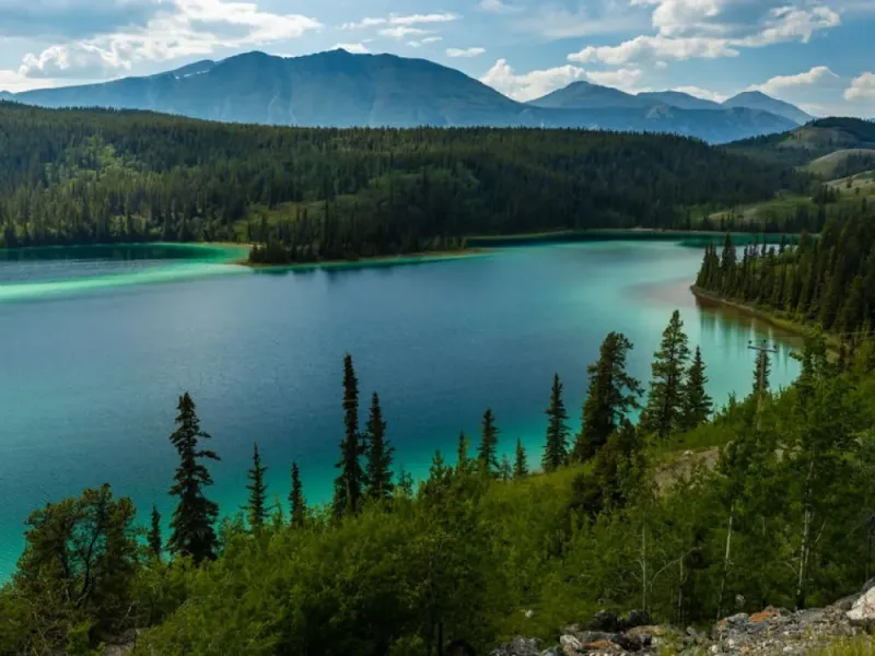 Full Day Yukon Scenic Tour & White Pass Summit