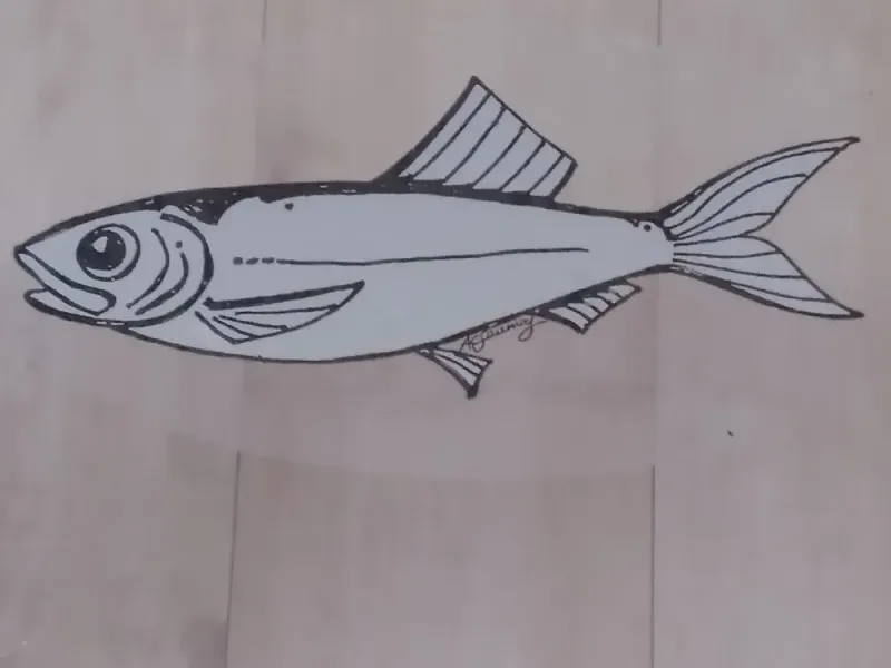 Window Fish Clings (set of 9)