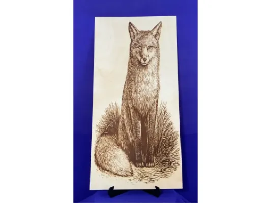 Alaskan Fox