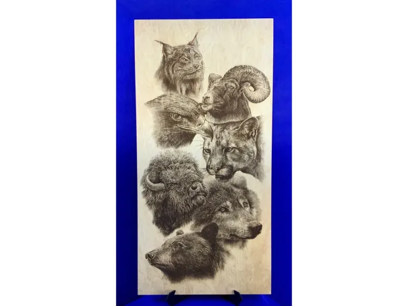 Alaska Animals
