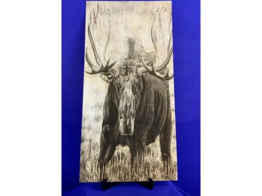 Alaskan Moose