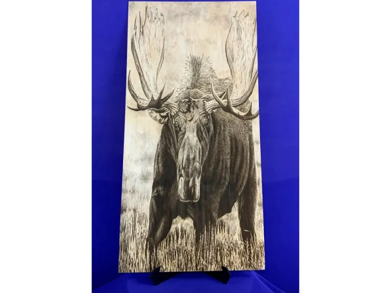 Alaskan Moose