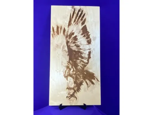 Eagle Landing